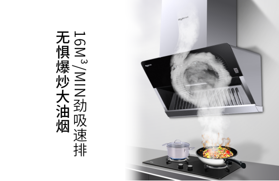 廣東索奇實業有限公司是一家專業生產廚衛電器產品企業.png